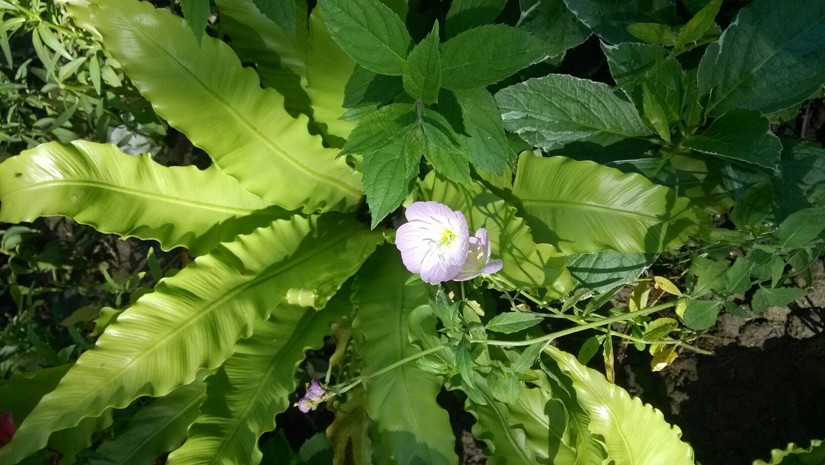 国产成人综合日韩精品无码