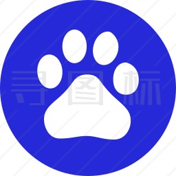 久久亚洲精品成人av无码网站